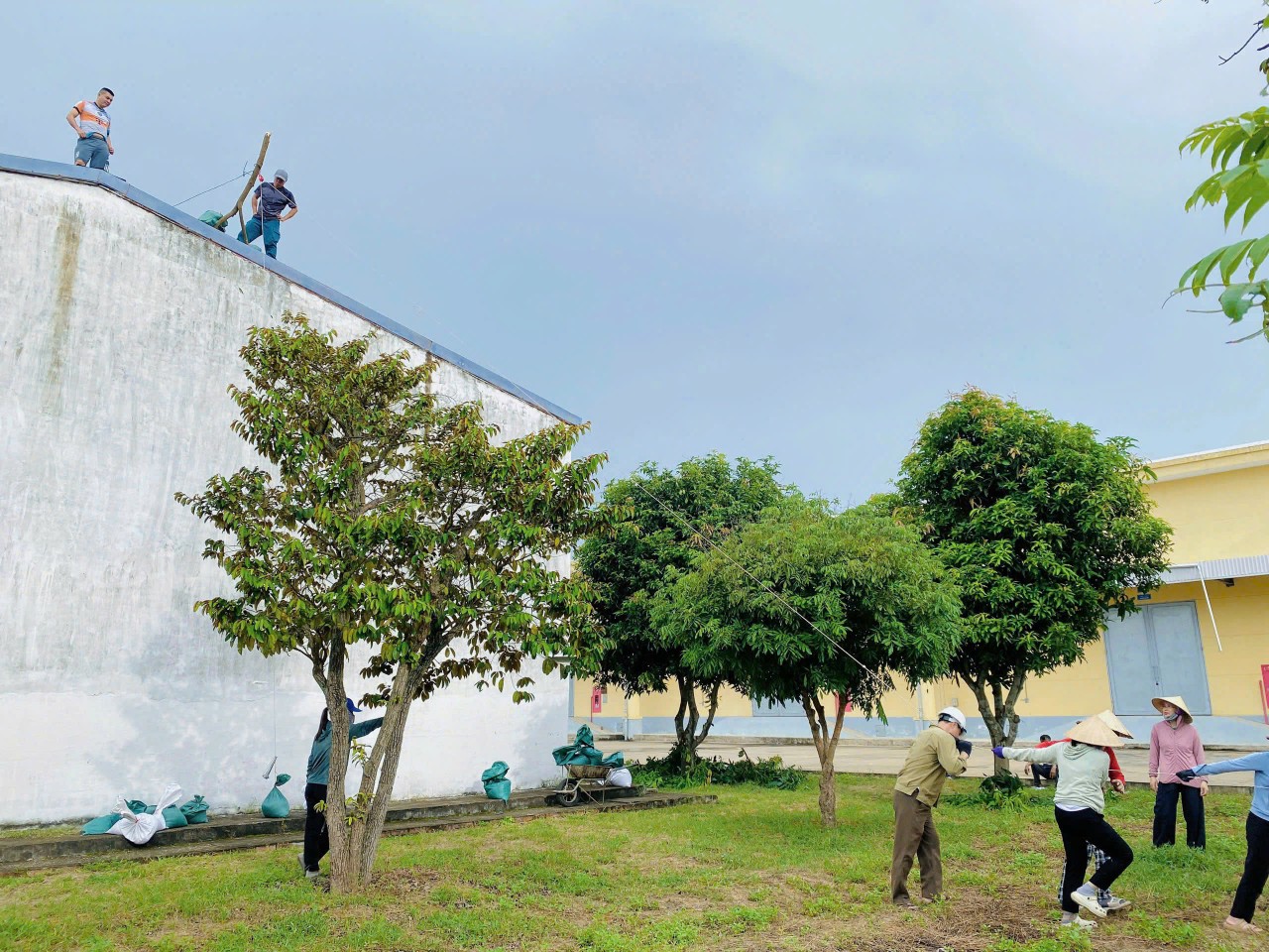 Các Chi cục Dự trữ Nhà nước khu vực chủ động ứng phó với bão số 5