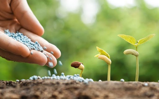 Phát triển kinh tế tư nhân: Gắn kết mục tiêu tăng trưởng và bảo vệ môi trường Phát triển kinh tế tư nhân: Gắn kết mục tiêu tăng trưởng và bảo vệ môi trường