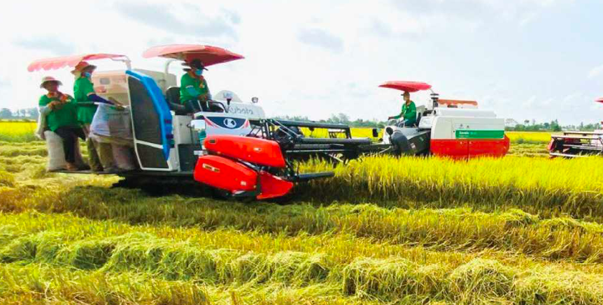 Chân kiềng vững chắc cho nền kinh tế