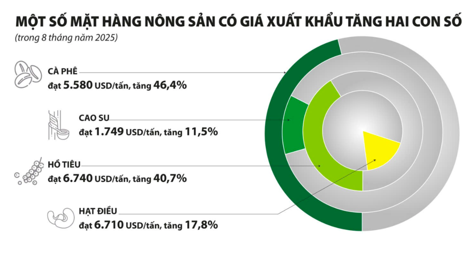 Xuất khẩu nông, lâm, thủy sản tự tin đạt mục tiêu năm 2025 Xuất khẩu nông, lâm, thủy sản tự tin đạt mục tiêu năm 2025