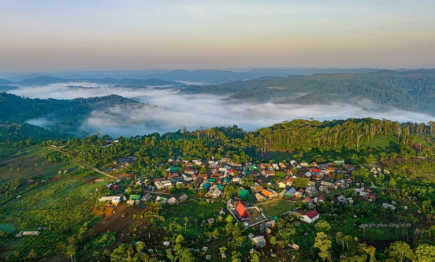 Gia Lai có nhiều thuận lợi trong phát triển tín chỉ carbon từ rừng