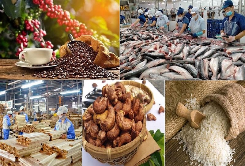 Ngân hàng Nhà nước nâng quy mô tín dụng lĩnh vực nông, lâm, thuỷ sản lên mức 185.000 tỷ đồng