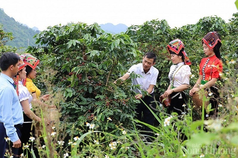 undefined Sơn La: Hiệu quả từ chính sách hỗ trợ giảm nghèo bền vững