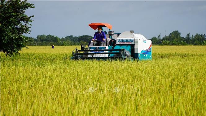 Hướng tới mục tiêu "nông nghiệp xanh, phát thải thấp" Hướng tới mục tiêu "nông nghiệp xanh, phát thải thấp"