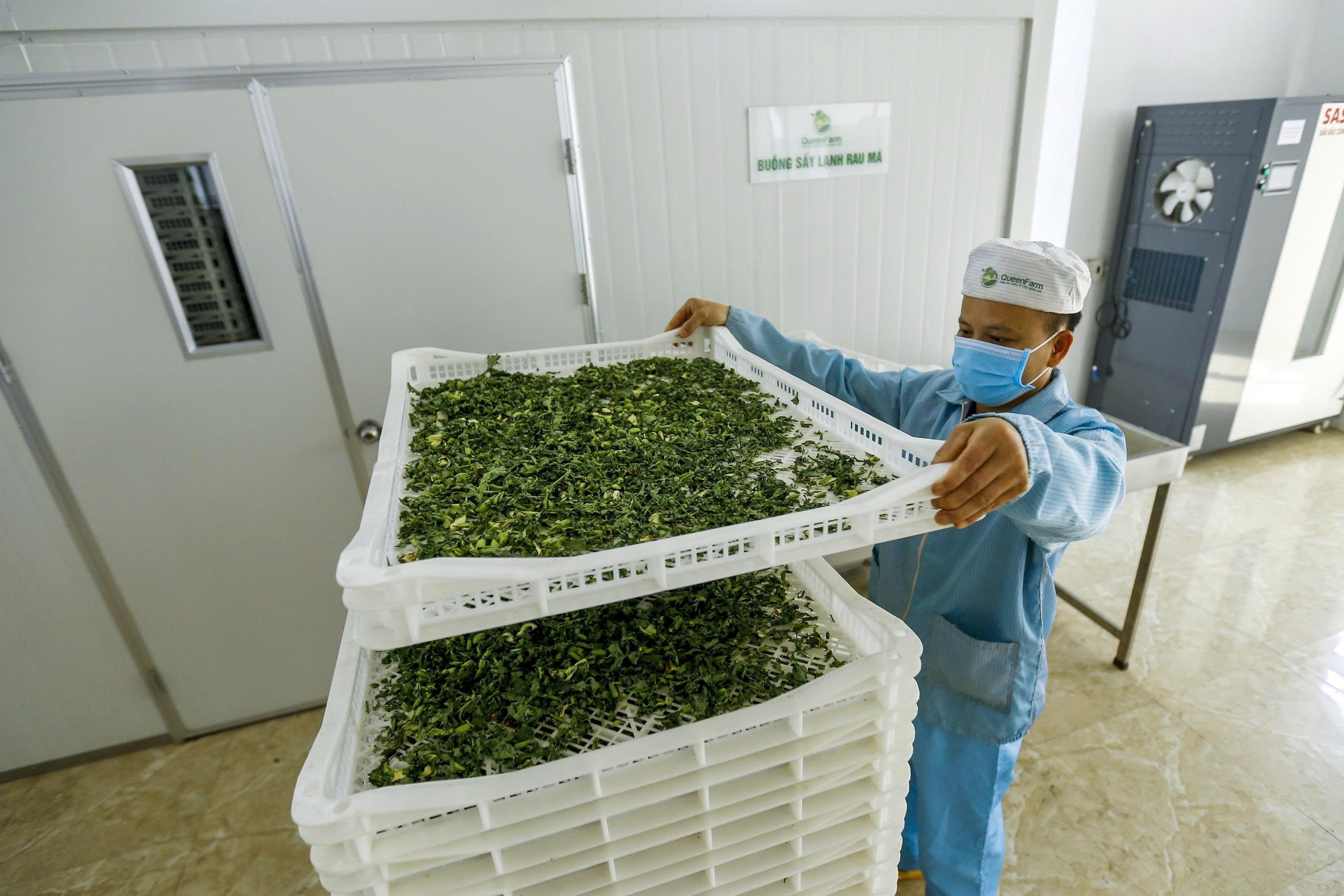 Từ Nghị quyết số 68 - Khơi dậy mạnh mẽ tinh thần khởi nghiệp