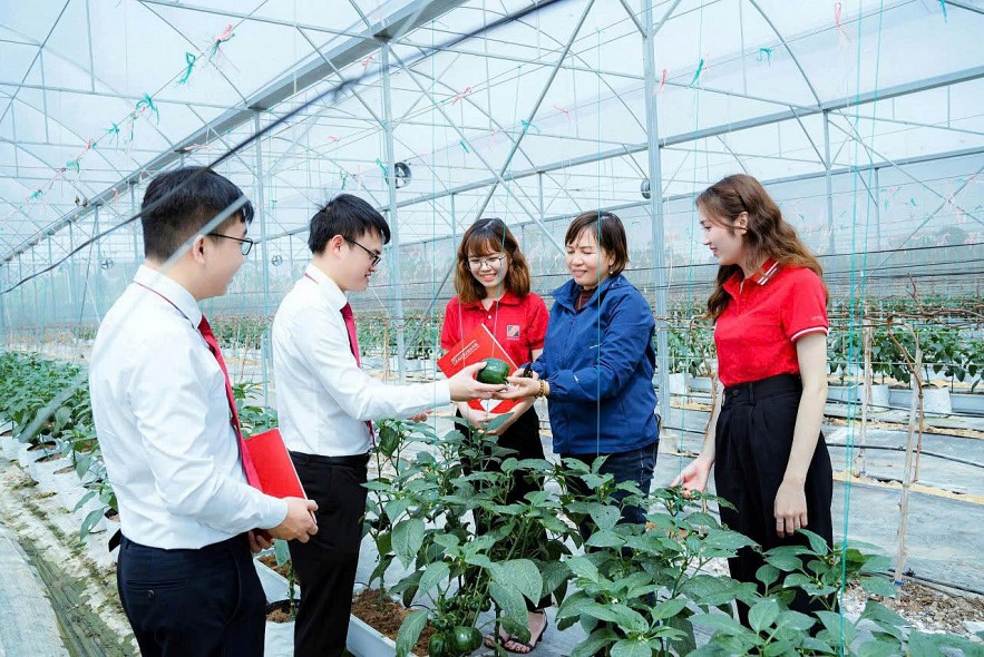 Agribank “xanh hóa” dòng vốn tín dụng hướng tới Net Zero Agribank “xanh hóa” dòng vốn tín dụng hướng tới Net Zero