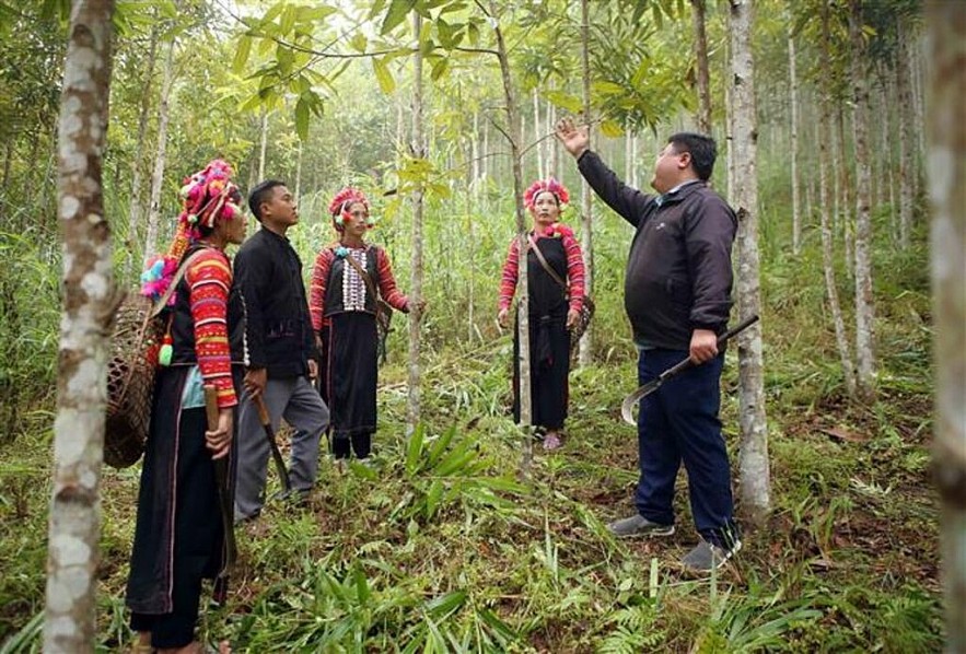 Lai Châu đồng bộ giải pháp để đạt mục tiêu giảm tỷ lệ hộ nghèo 3,68% trong năm 2025