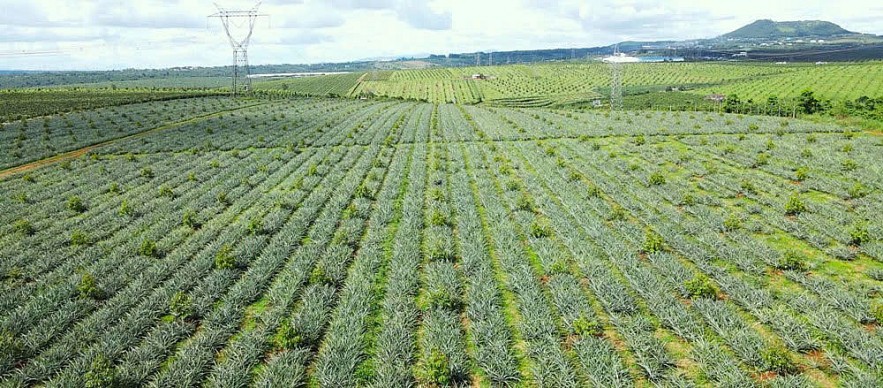 Chính sách đất đai gắn bó chặt chẽ với vận mệnh của khu vực 