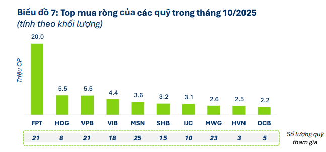 Hiệu suất quỹ đầu tư phân hóa mạnh trong tháng 10 giữa áp lực rút vốn gia tăng