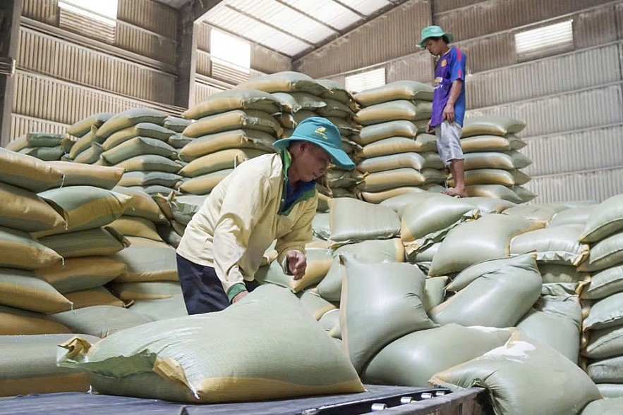 Dư cung, giá gạo đầu năm 2026 khó tạo 