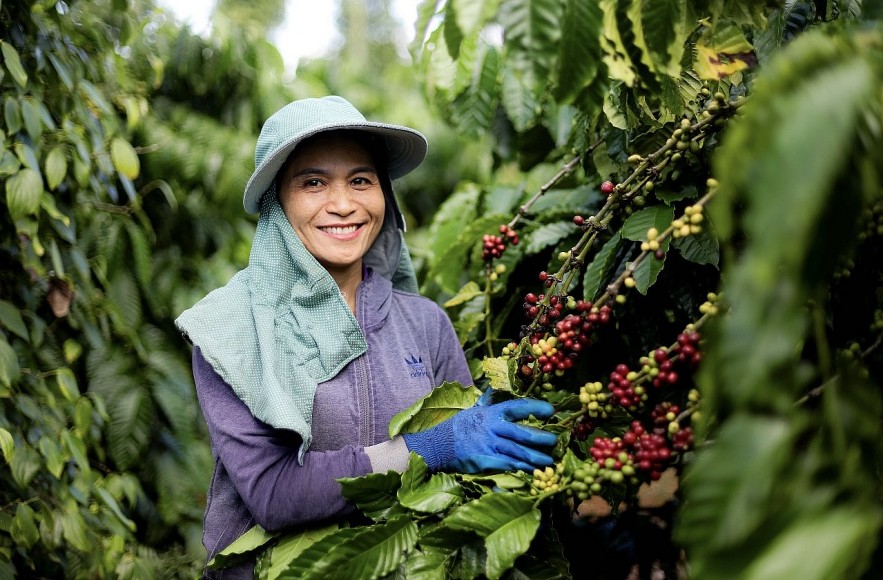 undefined Nestlé Việt Nam lan tỏa kinh tế tuần hoàn trong nông nghiệp