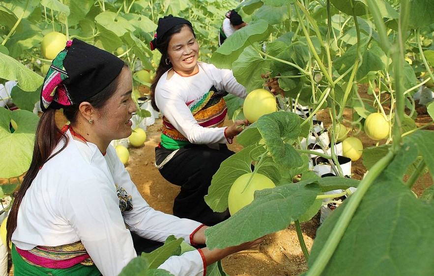 undefined Thanh Hóa tạo chuyển biến rõ nét trong giảm nghèo bền vững