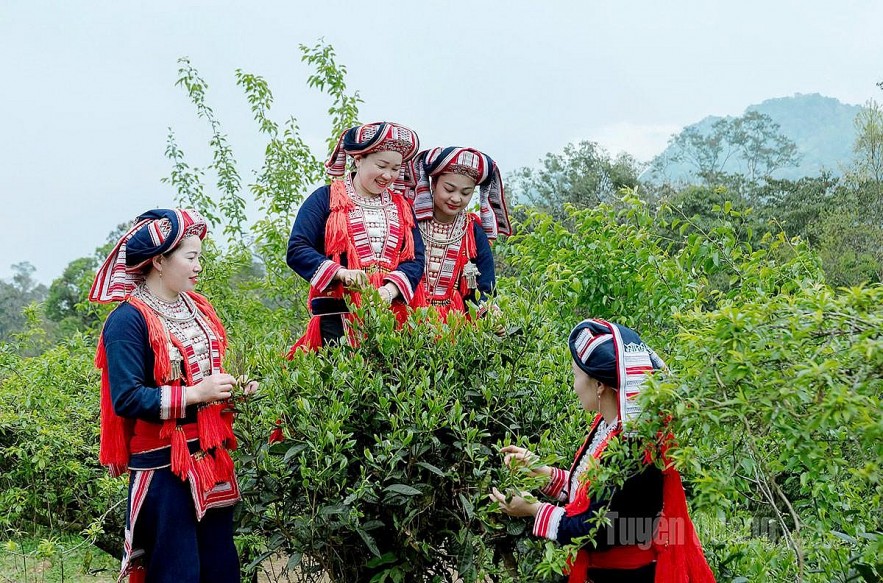 undefined Bố trí khoảng 423.000 tỷ đồng cho giảm nghèo và phát triển vùng dân tộc thiểu số