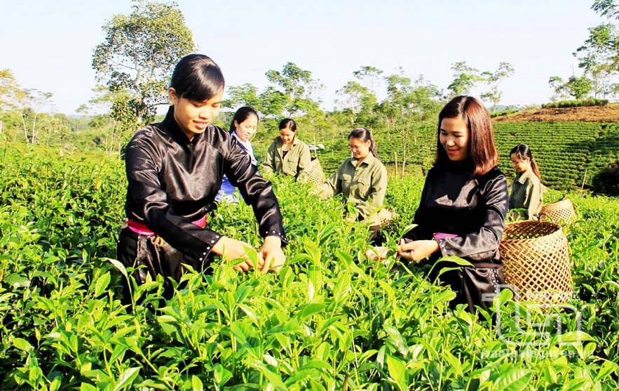 undefined Thái Nguyên chuẩn bị nền tảng giảm nghèo bền vững giai đoạn 2026 - 2030