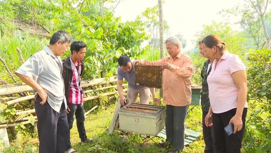 undefined Cao Bằng chọn kinh tế rừng làm đòn bẩy giảm nghèo giai đoạn 2026 - 2030