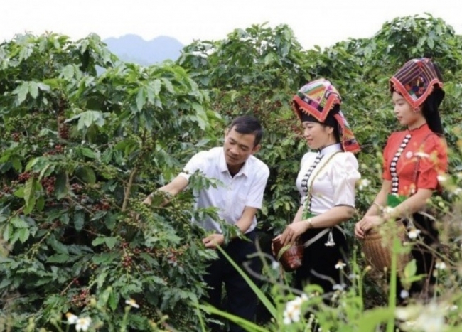 Sơn La củng cố nền tảng giảm nghèo bền vững giai đoạn 2026 - 2030