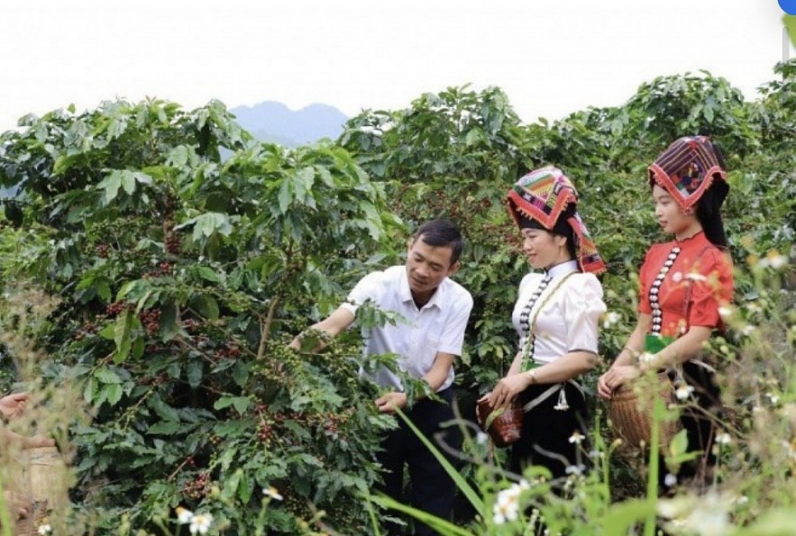 undefined Sơn La củng cố nền tảng giảm nghèo bền vững giai đoạn 2026 - 2030