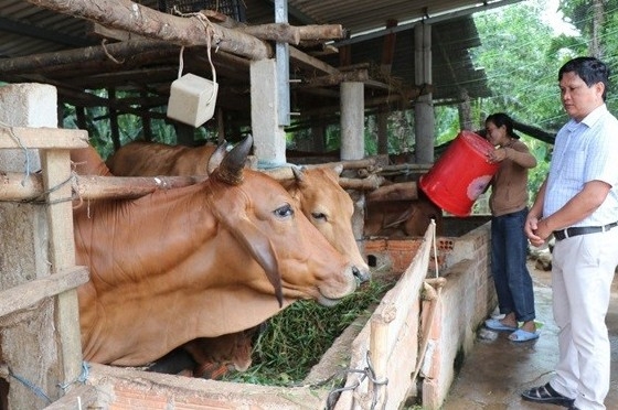 Quảng Ngãi huy động  tổng nguồn vốn hơn 2.320 tỷ đồng để giảm nghèo bền vững