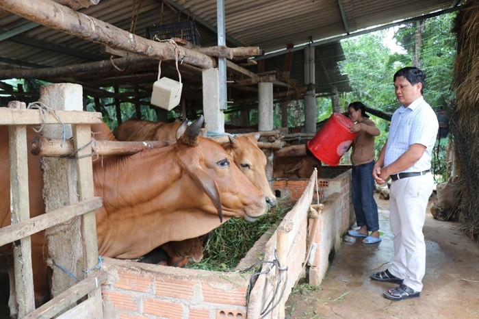 Quảng Ngãi huy động  tổng nguồn vốn hơn 2.320 tỷ đồng để giảm nghèo bền vững