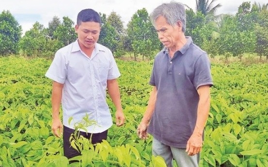 Vĩnh Long: Chính sách tín dụng tiếp tục đóng vai trò then chốt trong công tác giảm nghèo