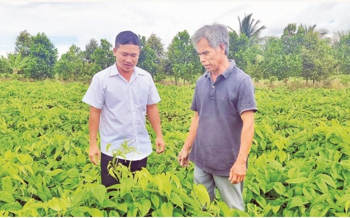 Vĩnh Long: Chính sách tín dụng tiếp tục đóng vai trò then chốt trong công tác giảm nghèo