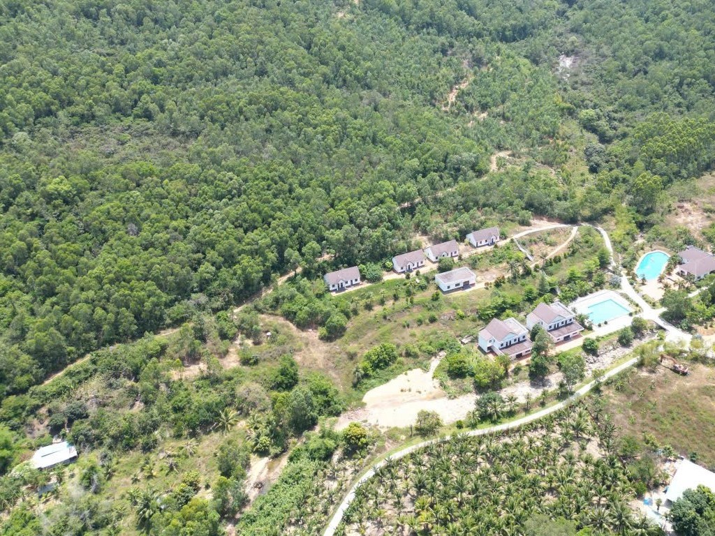Gia Lai đấu giá khu đất hơn 4.400 m2 tại Quy Nhơn để làm khách sạn, dịch vụ du lịch