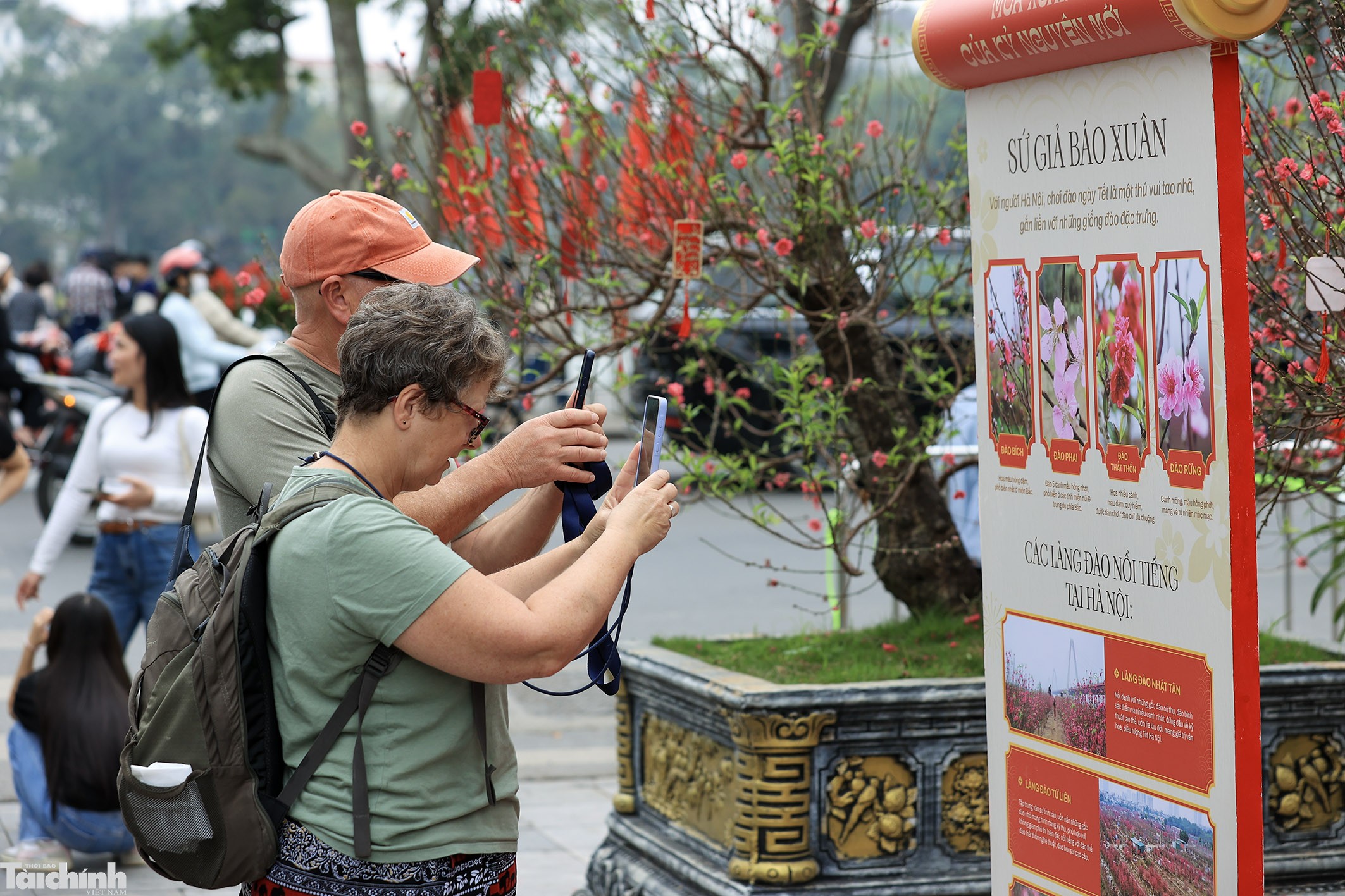 Sắc đào lộng lẫy tại vườn hoa Lý Thái Tổ