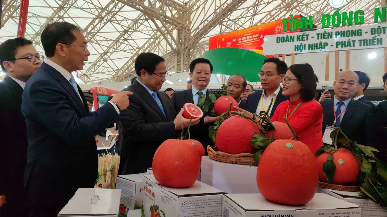 Mang Tết xứ Thanh đến Hội chợ Mùa Xuân 2026