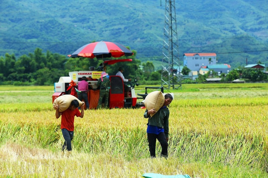 Hoàn thiện cơ chế, thúc đẩy giải ngân các chương trình mục tiêu quốc gia