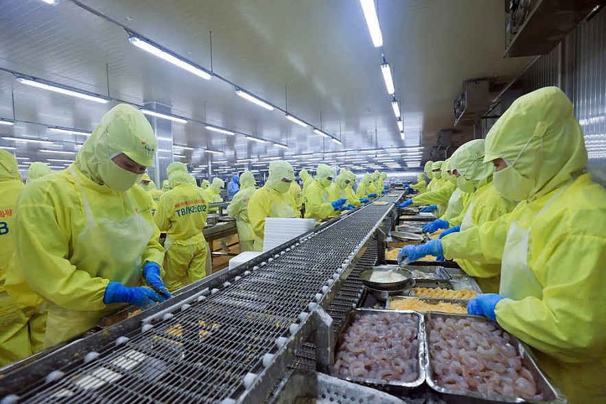 Chủ động ứng phó rủi ro để giữ nhịp tăng trưởng Chủ động ứng phó rủi ro để giữ nhịp tăng trưởng