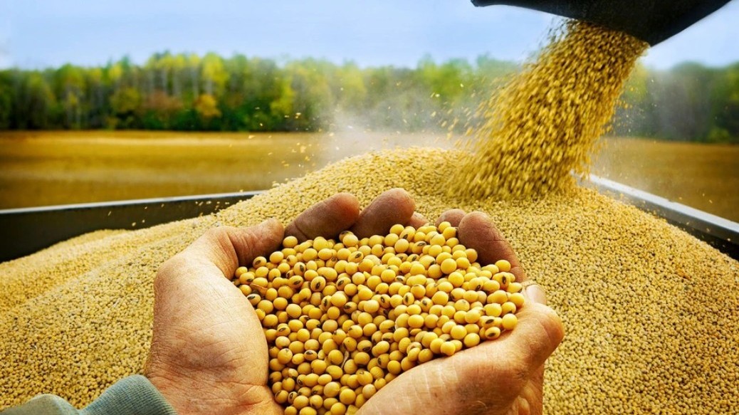 Giá đậu tương lên mức cao nhất trong 2 năm, dầu Brent vượt mốc 100 USD/thùng