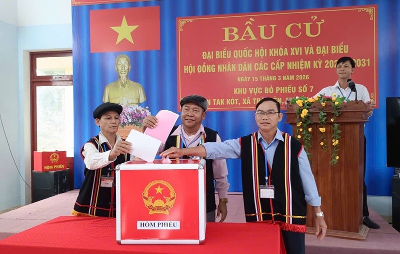 Đến 20h ngày 15/3: Tỷ lệ cử tri cả nước đi bầu cử đạt 99,38%